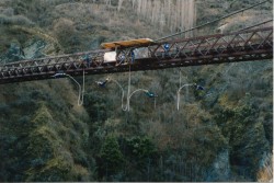 Bungy jumper