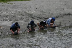 Children gold panning