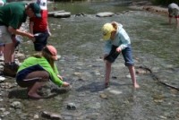 Looking for gold