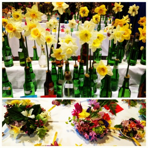 Arrowtown Spring Flower Show