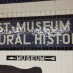Overseas Museums!The metro station wall.