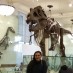 Overseas Museums!More Dinos!