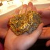 Going For Geology!This is the 2nd largest nugget of gold ever found in NZ! ...WOW...