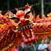 Happy New Year!!Celebrate Chinese New Year with a Museum Fun Day, or book your students in to ignite a learning experience about other cultures.
