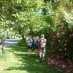 Oamaru Intermediate Inquire Into The PastWalking under the trees on the Historic Walk