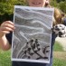 Mixed Schools Art Workshop - Camouflage Art!What do you think of our artworks?!