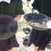 Aurora College are Full of Knowledge!Gold panning at the Arrow River!