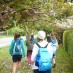 Columba College Collect Knowledge!Walking under the trees on the Historic Walk