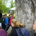 Columba College Collect Knowledge!Skipping around Mary Cotters tree for good luck.