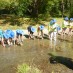 Heriot Have a Blast!Gold panning at the Arrow River