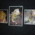 KAKAPO CHICKS IN ARROWTOWN!Photos that were on display showing the Kakapo's growing up