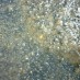 St Mary's from Gore Delve into History!Gold panning is hard, but sometimes you can be lucky enough to spot something!