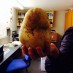 A GIANT POTATO!the potato weighed 2kg