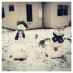 Snow, Snow, Snow!Snowmen with All Blacks scarves