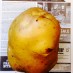 A GIANT POTATO!Posing on top of the Lakes Weekly Bulletin