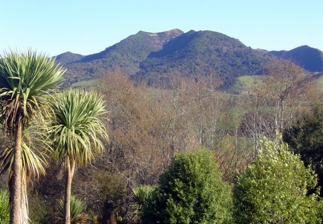 Hokonui Hills