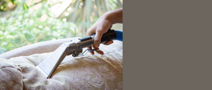 furniture cleaners in Auckland