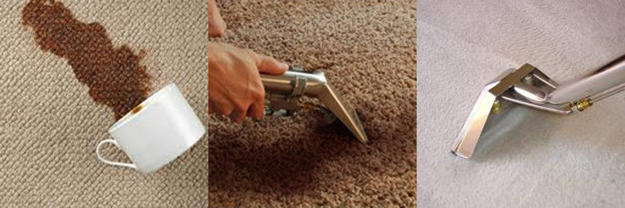 Carpet Cleaning