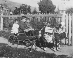 Young children on a cart